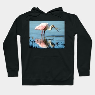 Shrimp for Breakfast! Hoodie